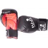 GUANTES ENTRENAMIENTO BOXEO FUJI 10 ONZAS 