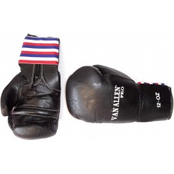 BOXHANDSCHUHE GEHEN ALLE PRO 12 UNZEN