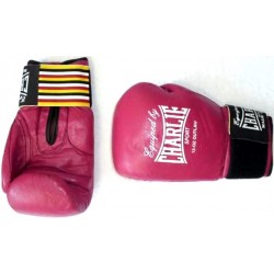 LUVAS DE BOXE 12 ONÇAS