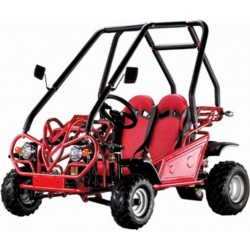 MINI BUGGY DE GASOLINA SP-MB 410