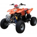 MOTO QUAD ATV - MOTORE GY6 150 CC
