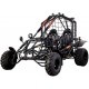 BUGGY CAR 250 CC