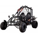 BUGGY AUTO 250 CC