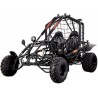 BUGGY AUTO 250 CC