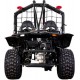 BUGGY AUTO 250 CC