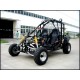 BUGGY AUTO 250 CC