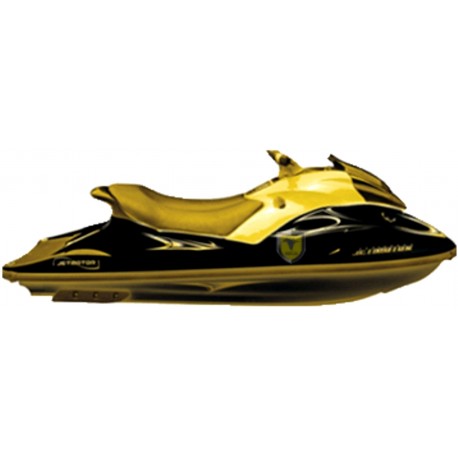 MOTO ACUÁTICA MG 200 JET SKI