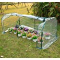Serre transparente pour jardin ou terrasse - acier, plastique et polyéthylène - 200x100x80 cm