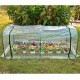 Outsunny serra trasparente per giardino o terrazza - acciaio, plastica e polietilene - 200x100x80 cm