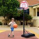 Basketball on wheels with a paddling basket with network and panel