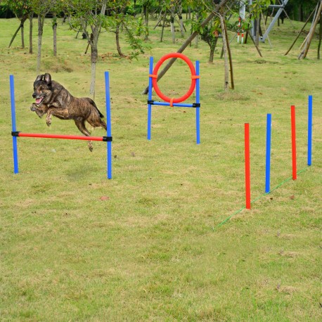 Définir l'agilité d'entraînement chiens barre de saut d'agilité.