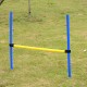 Set training agility agility dogs jump tune.