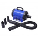 2400w hair dryer for pet dogs + flexi tube.