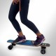 ELEKTRO SKATEBOARD UND GO2