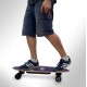 ELECTRIC SKATEBOARD AND GO2