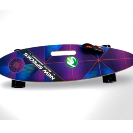 ELEKTRO SKATEBOARD UND GO2