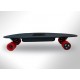 ELEKTRO SKATEBOARD UND GO1