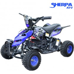 QUAD ATV ÉLECTRIQUE POUR ENFANTS 500W PSI