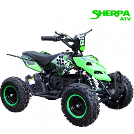 QUAD ATV ELEKTRISCH FÜR KINDER 800W TOX