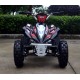 QUAD ATV ELETTRICO PER BAMBINI 800W TOX