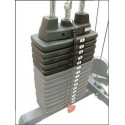 Grundstück TORRE 22.5 KG FÜR G6B, G8I und G10B STATIONEN BODY SOLID