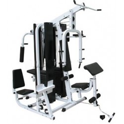 MULTIFUNCTIONAL DT EXERCISE STATION (4 POSITIONS)