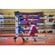 COVERS RING BOXING ROPES (FORRO)