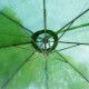 Reclining parasol of garden or patio - dark green.