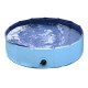 Swimming pool pet dogs cat puppy fold.