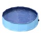 Swimming pool pet dogs cat puppy fold.