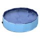 Swimming pool pet dogs cat puppy fold.