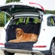 Dog protector for trunk - black - t.