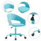 Desk chair or swivel and elevatable office ...