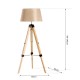 Modern foot lamp with garlicable height tripod.