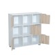 Low shelf type multifunctional organizer of ...