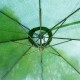 Parasol reclinável de jardim ou pátio - verde escuro.