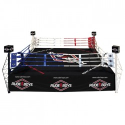 PROFESSIONAL BOXING RING