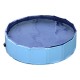 Swimming pool pet dogs cat puppy fold.