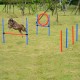 Set agilità allenamento cani agilità salto palo.