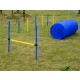 Set training agility agility dogs jump tune.