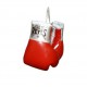 MINI GUANTES CLETO REYES 