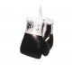 MINI GUANTES CLETO REYES 