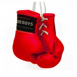 MNI GANTS BOXING CAR RB