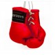 MINI GANTS BOXING CAR PEAU ARTIFICIELLE RB