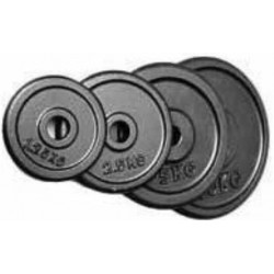 30 MM CAST IRON GYM DISCS