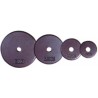 DISCOS COMPACTOS 30 MM DE HIERRO GIMNASIO DE 0,5 KG A 5 KG