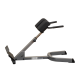 Bank Hyperextensions lumbar 45th professional