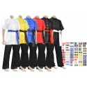 COSTUME KUNG FU STYLE CHANG QUAN SATIN