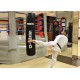 BOXEO TRATAMENTO SACO SAMTO 150 CM. Um RELLENO PATENT