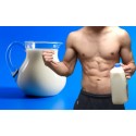 WEIGHT GAINERS - GAINERS